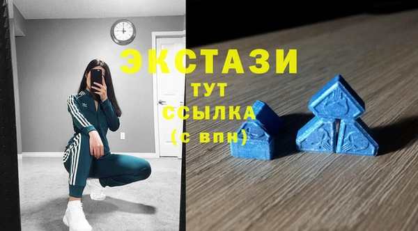 гидра Аркадак