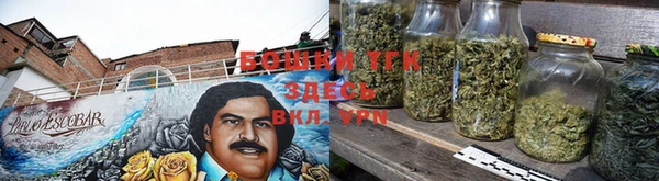 ешки Арсеньев