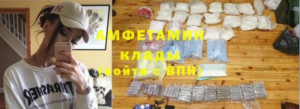 гидра Аркадак