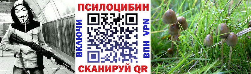ОМГ ОМГ вход  Балашов  Галлюциногенные грибы GOLDEN TEACHER 