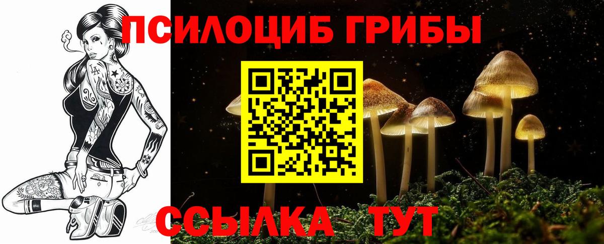 Галлюциногенные грибы мухоморы  Вход с VPN  Псилоцибиновые грибы Psilocybe  Балашов 